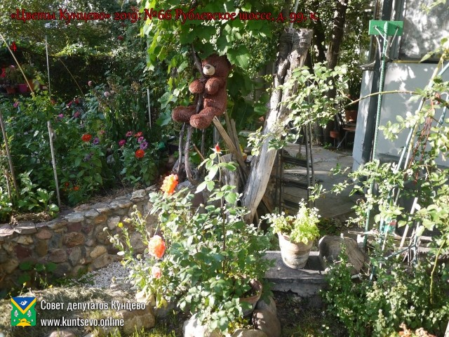 В Кунцево впервые прошёл конкурс палисадников "Цветы Кунцево" 16