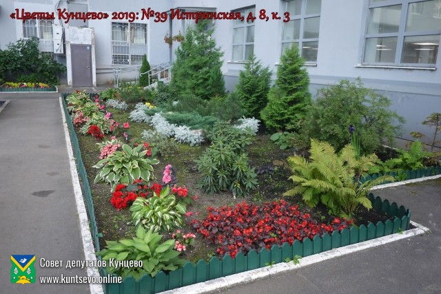 В Кунцево впервые прошёл конкурс палисадников "Цветы Кунцево" 4