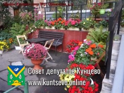 В Кунцево впервые прошёл конкурс палисадников "Цветы Кунцево"