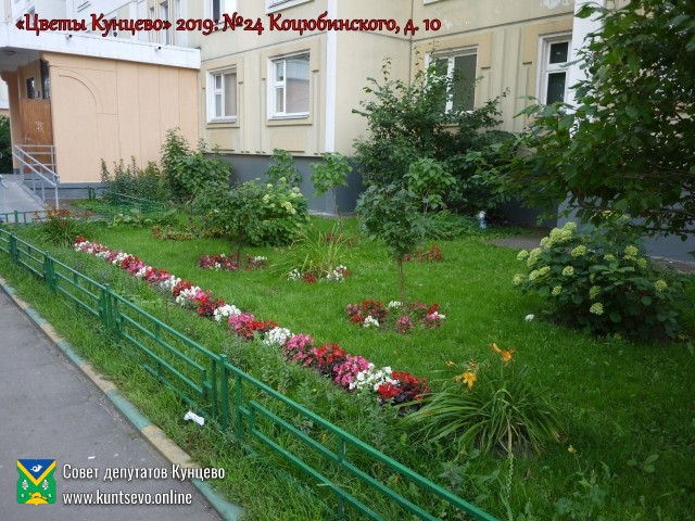 В Кунцево впервые прошёл конкурс палисадников "Цветы Кунцево" 1